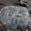 Rocks On The Seashore At Cadgwith - added 22/12/2011 by John Wright